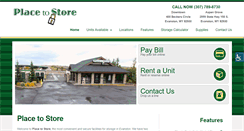 Desktop Screenshot of placetostore.com